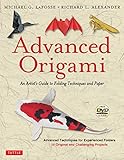 Advanced Origami: An Artist's Guide to Folding