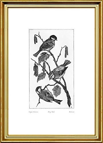Single-colored hand-crafted etching Vögel, Meisen (Germany) by Behrens in a gold-channeling frame, graphics, art design, art print