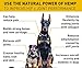 (2 Pack | 1000mg) Hemp Oil for Dogs Cats Pets, Organic Calming Dog Treats for Separation Anxiety Pain Relief - Natural Hemp Extract Stress Sleep Aid - Zero THC CBD Cannabidiol - Joint Hip Supplements