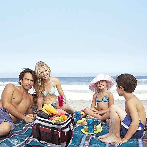 6 Lightweight+Portable+Thermoelectric+Refrigerator+Convenient