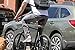 Leash Buddy Dog Bike Leash for Safe Hands Free Bicycle Rides With Your Pet, Designed in the USA, Patent Pending
