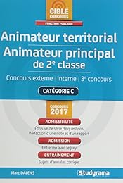 Animateur territorial, Animateur principal de 2e classe