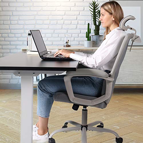Smugdesk Office Chair, High Back Ergonomic Mesh Desk Office Chair with