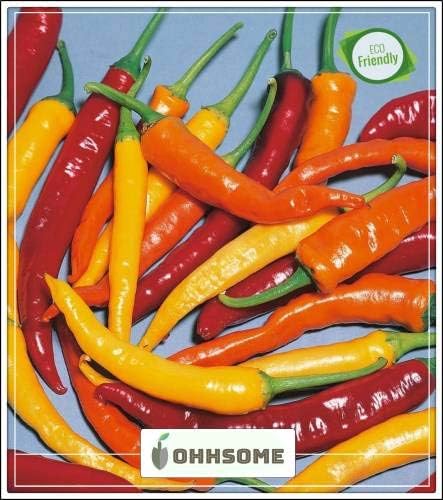 Seedsown ornamentales Vegetable Seeds ornamental Chiles plantas ...