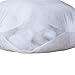 IZO Home Goods Lumbar Sham Stuffer Hypo-allergenic 12x20 Pillow Insert