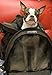 SturdiBag Pet Carrier, Large - Black
