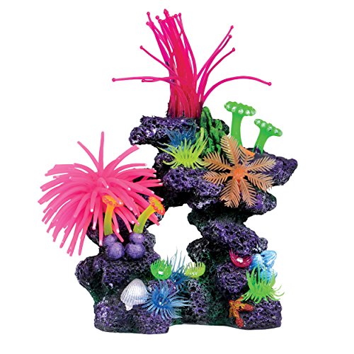 Underwater treasures 23891 caribbean cave reef