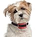 Our K9 Training Made Easy - Bark Collar for Small Dogs Using Sound & Vibration or Ultrasonic & Vibration. 100% Pain-Free - 100% Safe (Small - Medium - Large, Dark Red)