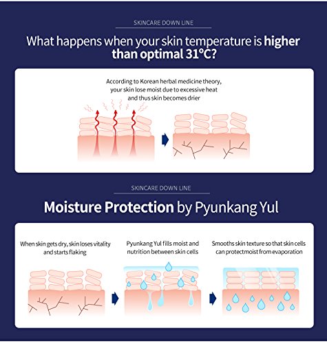 [ Pyunkang Yul ] Moisture Ampoule 100ml / 3.3 Fl. oz.
