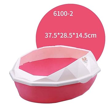 Inodoro gatos | Todo gatos