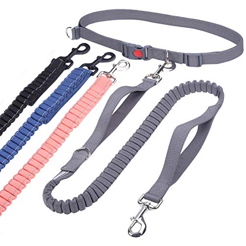 kong leash bungee