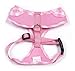 EXPAWLORER Soft Mesh Dog Harness and Leash Set - Pink Dog Harness, No Choke Step-in Adjustable Cute Dog Harness, Breathable Lightweight Vest Harness for Puppy Dogs Cats Outdoor Walking, Small