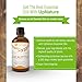 UpNature Eucalyptus Essential Oil – 100% Pure Natural Eucalyptus Oil, 4oz