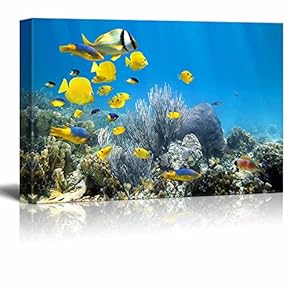 Underwater Coral Reef Scenery with Colorful School of...
