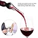 HotLife Premium Wine Aerator Pourer - Wine Decanter Spout and Best Wine Pourer