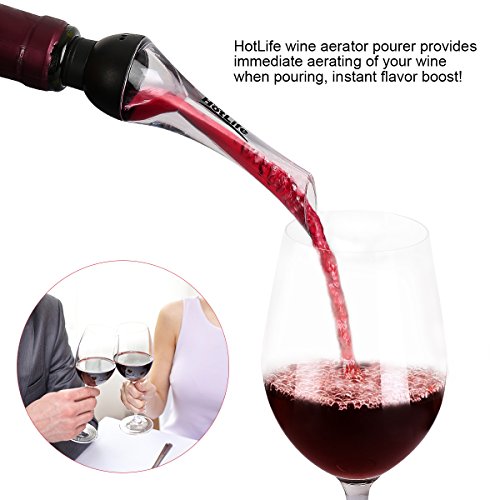 HotLife Premium Wine Aerator Pourer - Wine Decanter Spout and Best Wine Pourer - Thumbnail 2