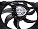 TOPAZ 0002009323 Radiator Cooling Fan Assembly for 2007-2015 Smart Car Fortwo 451