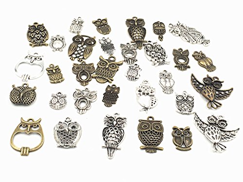 KinteshunNight Owls Charm Alloy Multistyle Bird of Minerva Pendant Connector for DIY Jewelry Making Accessaries(20pcs,Silver&Bronze Tone)