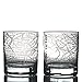 Greenline Goods Whiskey Glasses - 10 Oz Tumbler Gift Set for Philadelphia lovers, Etched with Philadelphia Map | Old Fashioned Rocks Glass - Set of 2