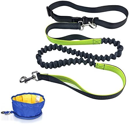 Hands Free Reflective Bungee Dog Leash - Retractable Jogging Hiking Leash/ Adjustable Waist Dog Lead with Dual Handle Walking Belt Running Jogging Walking Included Waterproof Pet Bowl (Green)