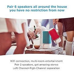 Libratone Zipp Wifi Bluetooth Smart