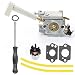 Hilom 308054079 Carburetor for Ryobi RY08420 RY08420A Backpack Blower OEM Part Number 308054093 primary