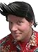 Pet Detective Wig Costume Accessory