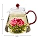 Teabloom Amore Glass Teapot Stovetop Safe Teapot with Removable Infuser (34 OZ) Two Blooming Tea Flowers Included