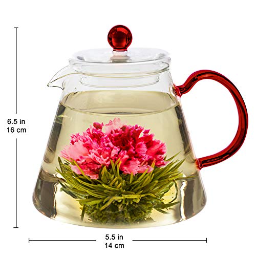 Teabloom Amore Glass Teapot Stovetop Safe Glass Teapot with Removable