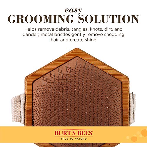 Burt's Bees for Dogs Palm Slicker Brush Best Ergonomic Dog Brush To