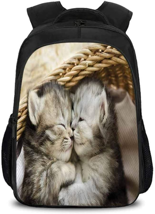 kitten in backpack