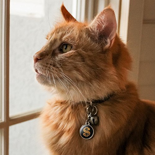 Dollar Sign Symbol Chrome Plated Metal Pet Dog Cat ID Tag - Small