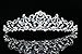 Flower Vine Design Bridal Tiara Crown - Blue Crystals Silver Plating T797