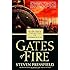 Gates of Fire: An Epic Novel of the Battle of Thermopylae