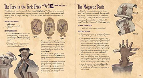 The Book of Wizard Magic: In Which the Apprentice Finds Marvelous Magic Tricks, Mystifying Illusions & Astonishing Tales (The Books of Wizard Craft)