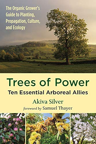 Download Trees of Power: Ten Essential Arboreal Allies (English Edition) PDF
