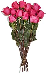 Dozen Roses 40cm, 1 EA