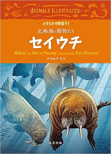 セイウチ イラストで学ぼう 北極圏の動物たち Paniaq Herve 敏男 坪田 本 通販 Amazon
