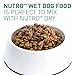NUTRO PUPPY Tender lamb & Rice Recipe Pate Canned Dog Food 12.5 Ounces (Pack of 12)