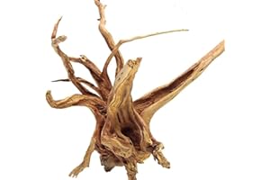 Jorewood Natural Large Spiderwood Driftwood for Aquarium Decor Rptile Fish Tank Decoration Assort Branch 13-16'' Pack of 1