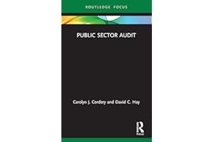 Public Sector Audit