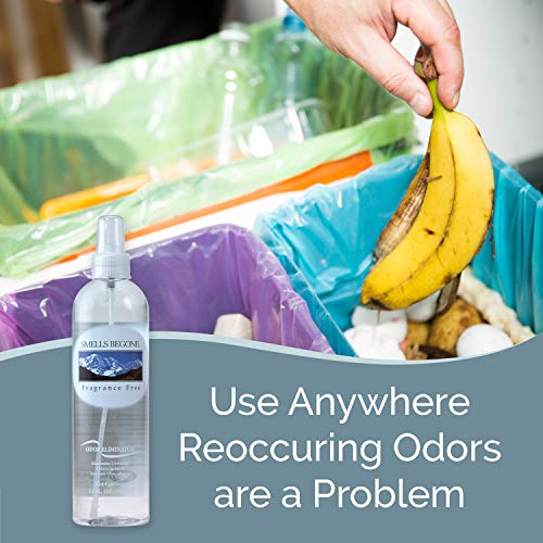 SMELLS BEGONE Air Freshener Spray Odor Eliminator Eliminates Odors