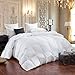 Luxurious Queen Size Siberian Goose Down Comforter, 600 Thread Count 100% Egyptian Cotton Cover, Solid White Color, 60 Oz Fill Weight, All Season Down Comforter