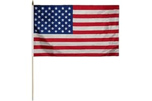 TRADE WINDS American Classroom Flag 16in x 24in Polyester (36INCH WOODEN STAFF)