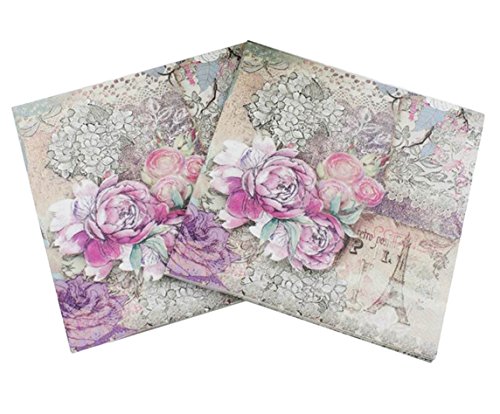 40 Count Paper Napkins, Designed Vintage Flowers Prints Cocktail Napkins, Serviettes Napkins for Weeding, Dinner and Party, Paper Luncheon Napkins 2-Ply, 13x13 Inch (Retro Collection, Flower 11)