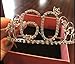 BABEYOND Crystal Birthday Tiara Crown Princess Birthday Crown Hair Accessories Happy 60th Birthday Crown Tiara for Women (60 Birth)