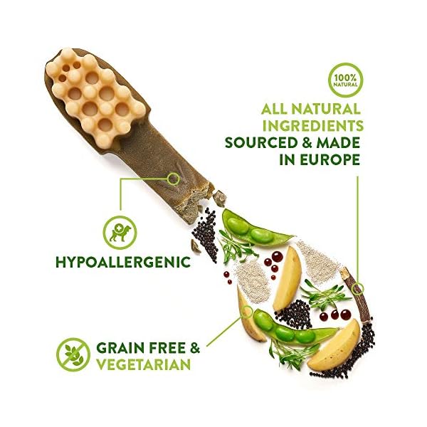 Whimzees-Natural-Dental-Dog-Chews-Long-lasting-Variety-Box-Mixed-Shapes-Medium-28-Pieces WHIMZEES By Wellness Variety Box, Mixed Shapes, Natural and Grain-Free Dog Chews, Dog Dental Sticks for Medium Breeds…