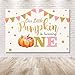 MEHOFOTO Little Pumpkin One Birthday Party Photo Background Banner Fall Autumn Our Little Pumpkin Girl Happy 1st Birthday Pink Gold Dots Backdrops Props for Cake Table Supplies 7x5ft