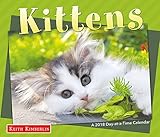 Image de Keith Kimberlin Kittens 2018 Day-at-a-Time Box Calendar