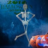 alesTOY 3ft Pose-N-Stay, Glow-in-The-Dark Skeleton for Halloween Party Favors Props and Decorations